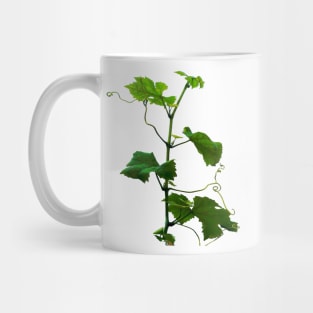 Grape vine Mug